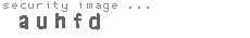 security image