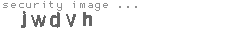 security image