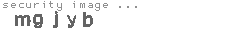 security image