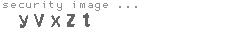 security image