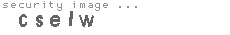 security image