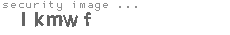 security image