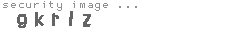 security image