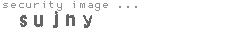 security image