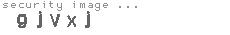 security image