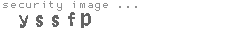 security image