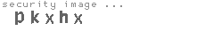 security image