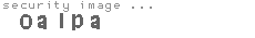 security image