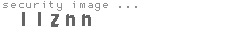 security image