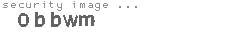 security image