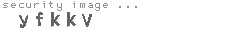 security image