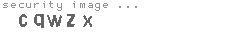 security image