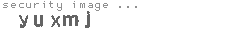 security image