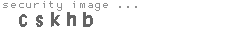 security image