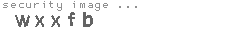 security image