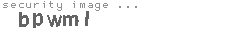 security image