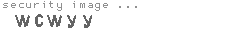 security image