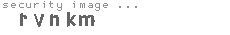 security image