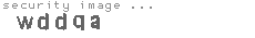 security image