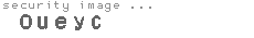 security image