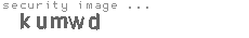 security image