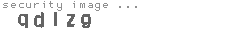 security image
