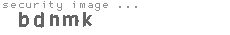 security image