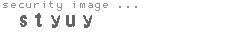 security image