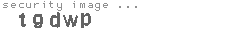 security image