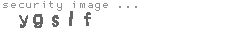 security image