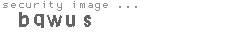 security image