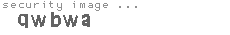 security image