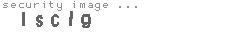 security image
