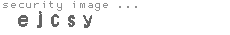 security image