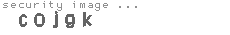 security image