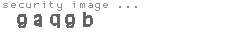 security image