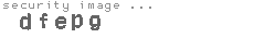 security image