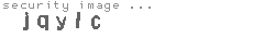 security image