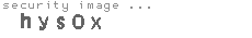 security image