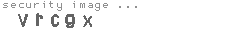 security image