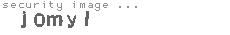 security image