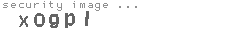 security image