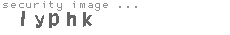 security image
