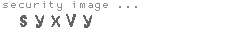 security image