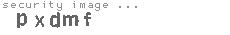 security image