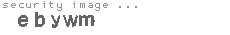 security image