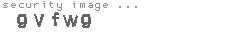 security image