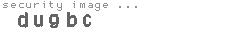 security image