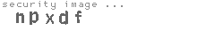 security image