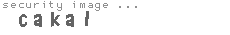 security image